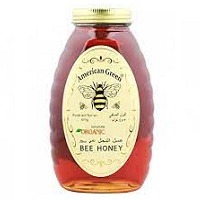 American Green Organic Honey 453gm